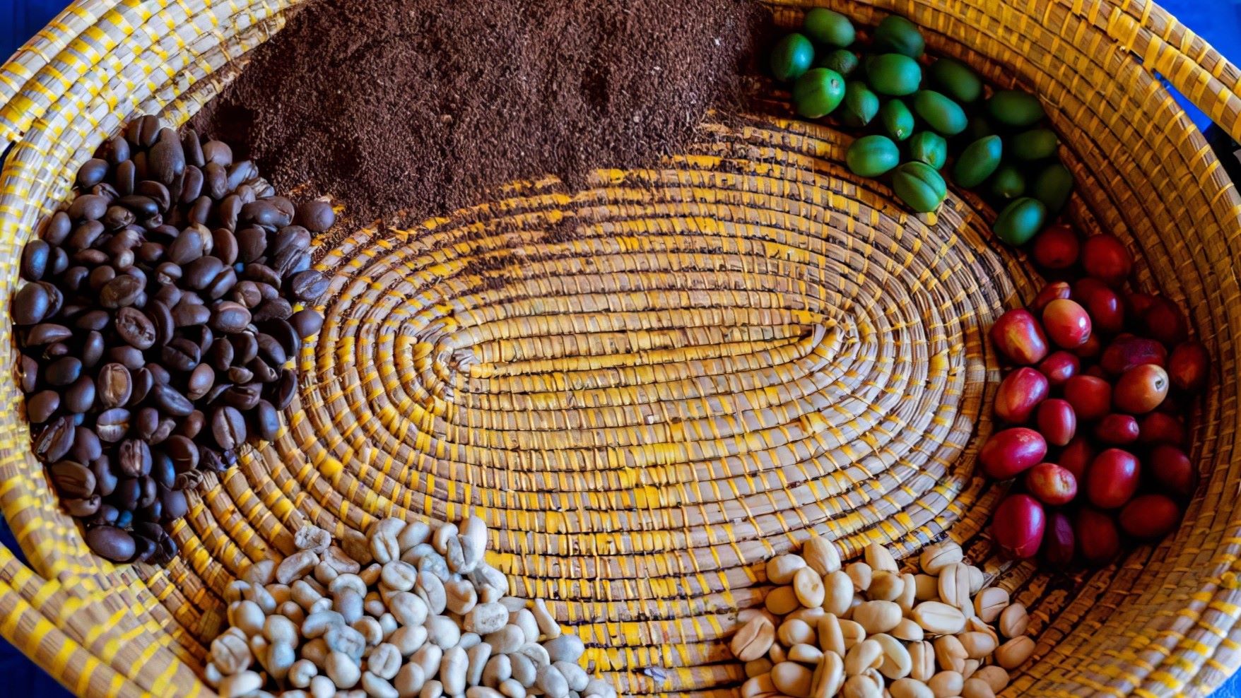 Basket showing all stages of coffee production